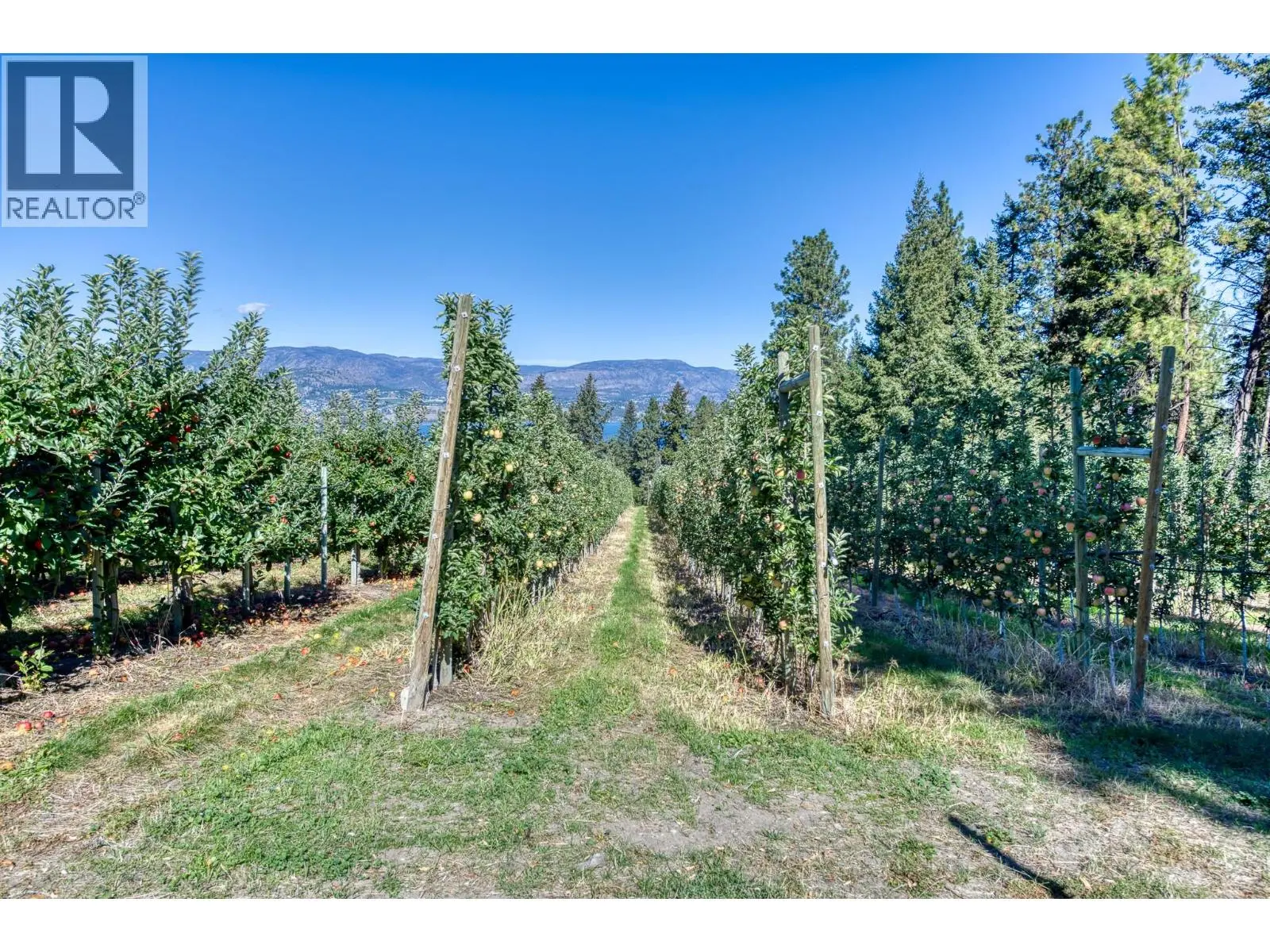 4852-4858 Lakeshore Road. Kelowna, British Columbia