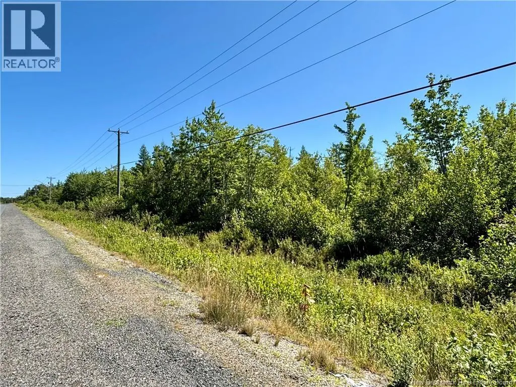 Photo of Listing #NB145525