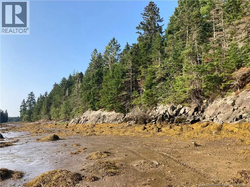 Photo of Listing #NB145589