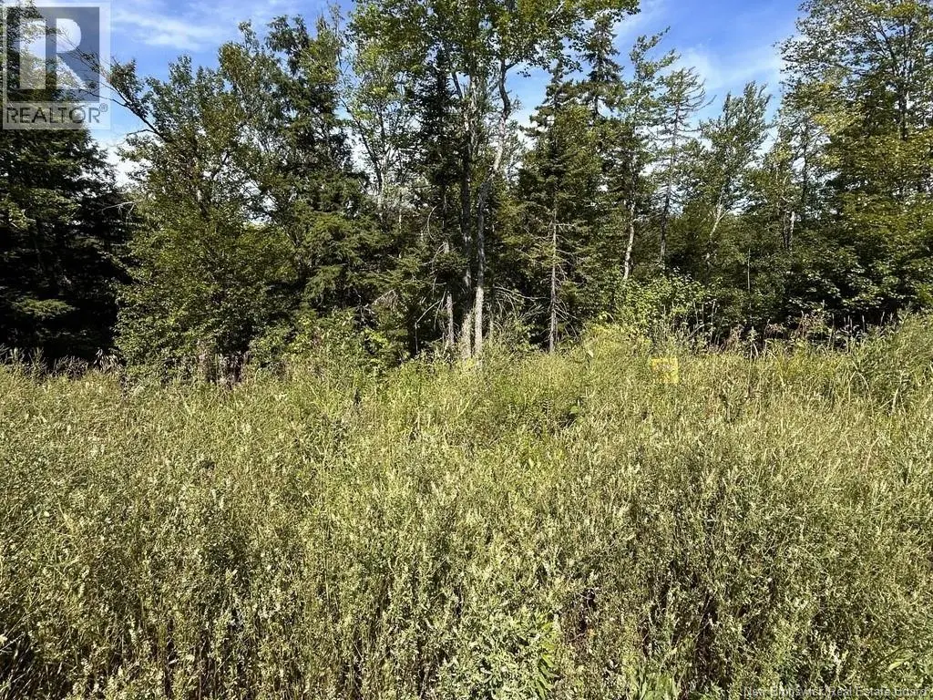 Photo of Listing #NB146052
