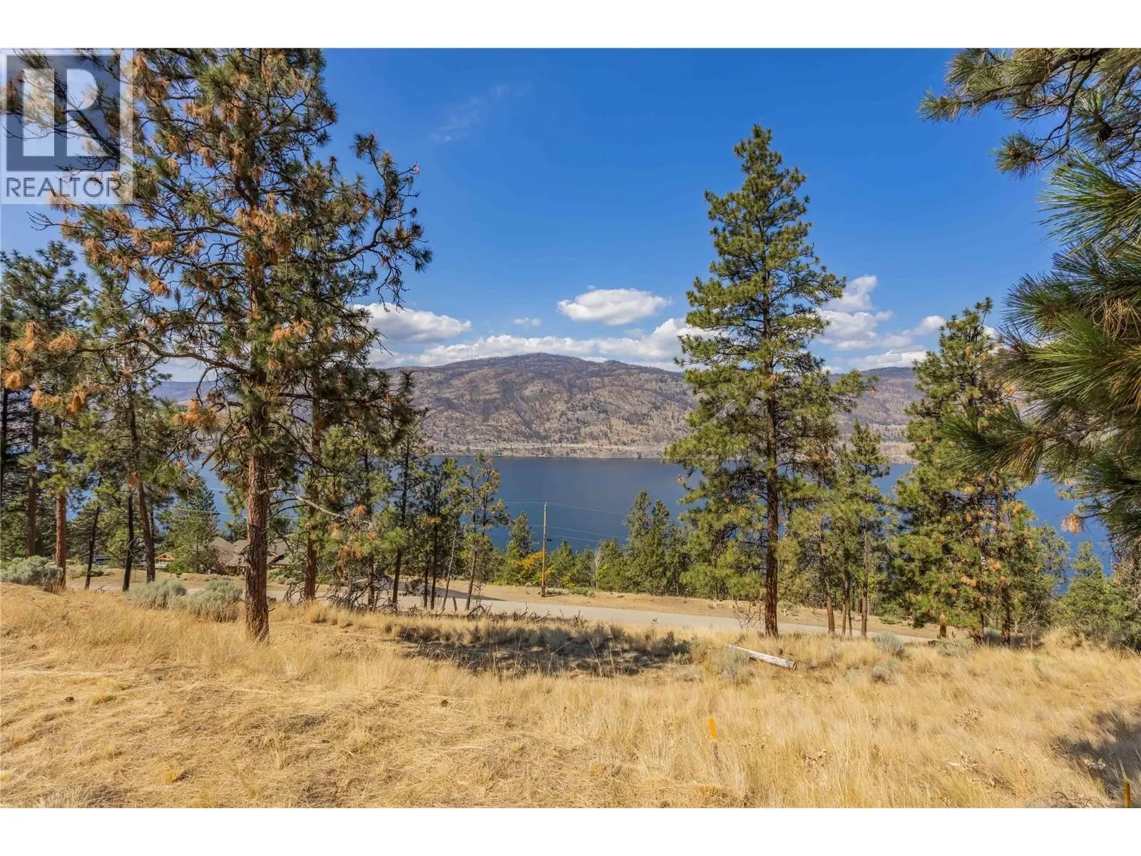 Photo of Listing #10396685