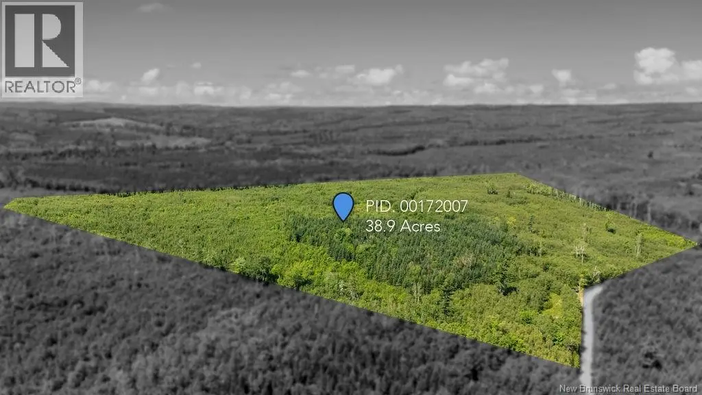 Photo of Listing #NB146189