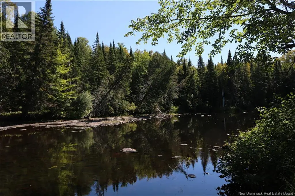 Photo of Listing #NB146331
