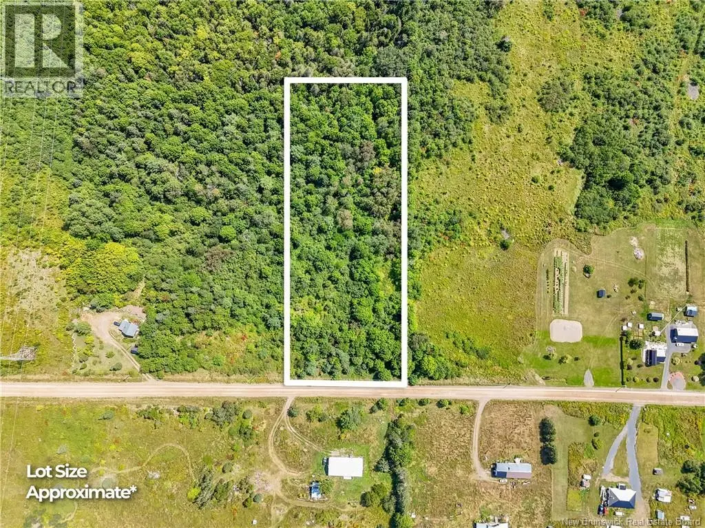 Photo of Listing #NB146117