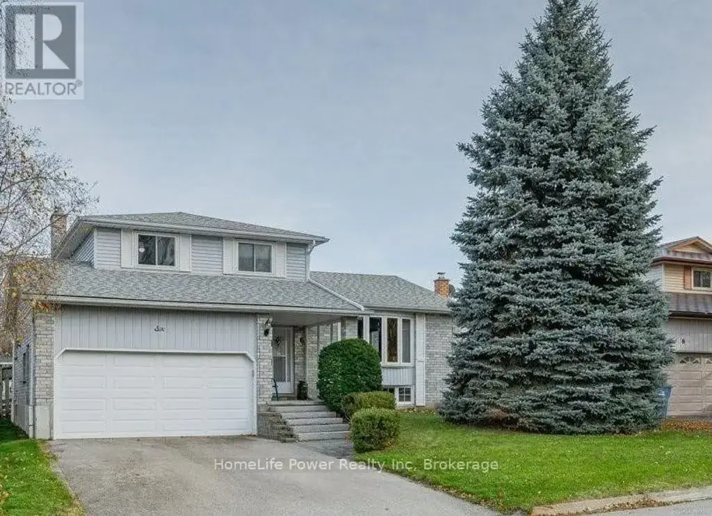 Basement - 6 Hollyberry Place, Guelph (Willow West/Sugarbush/West Acres)