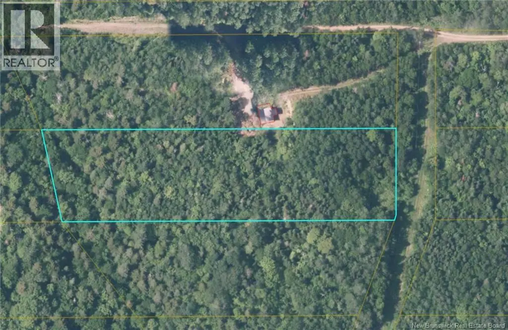 Photo of Listing #NB146585
