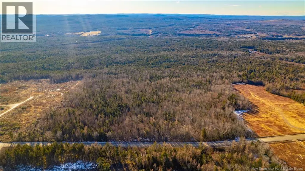 Photo of Listing #NB146598