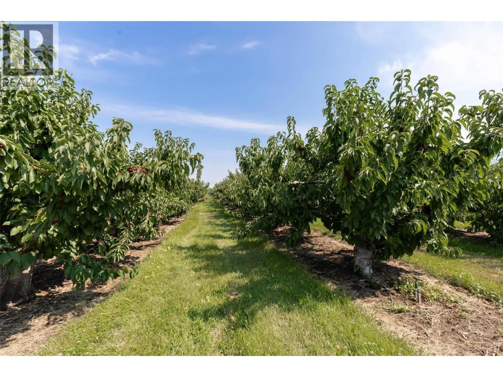 1409 + 1429 Teasdale Road. Kelowna, British Columbia