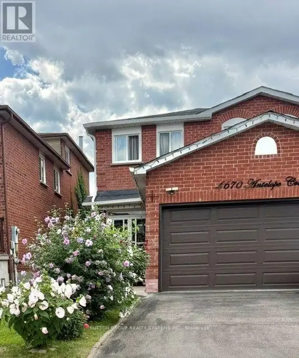 Bsmt - 4670 Antelope Crescent, Mississauga (Hurontario)