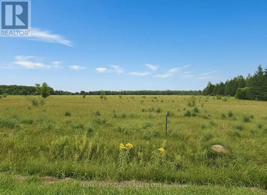 Bergland Cemetery Rd, Lake of the Woods (Morson)