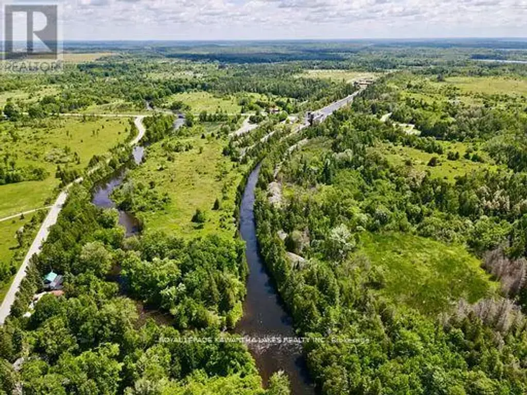 81 Mcguire Beach Road, Kawartha Lakes (Carden)