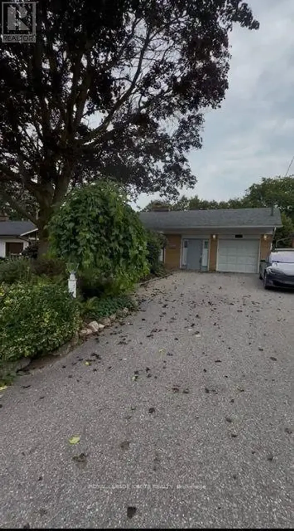 Bsmt - 177 Island Road, Toronto (Rouge)
