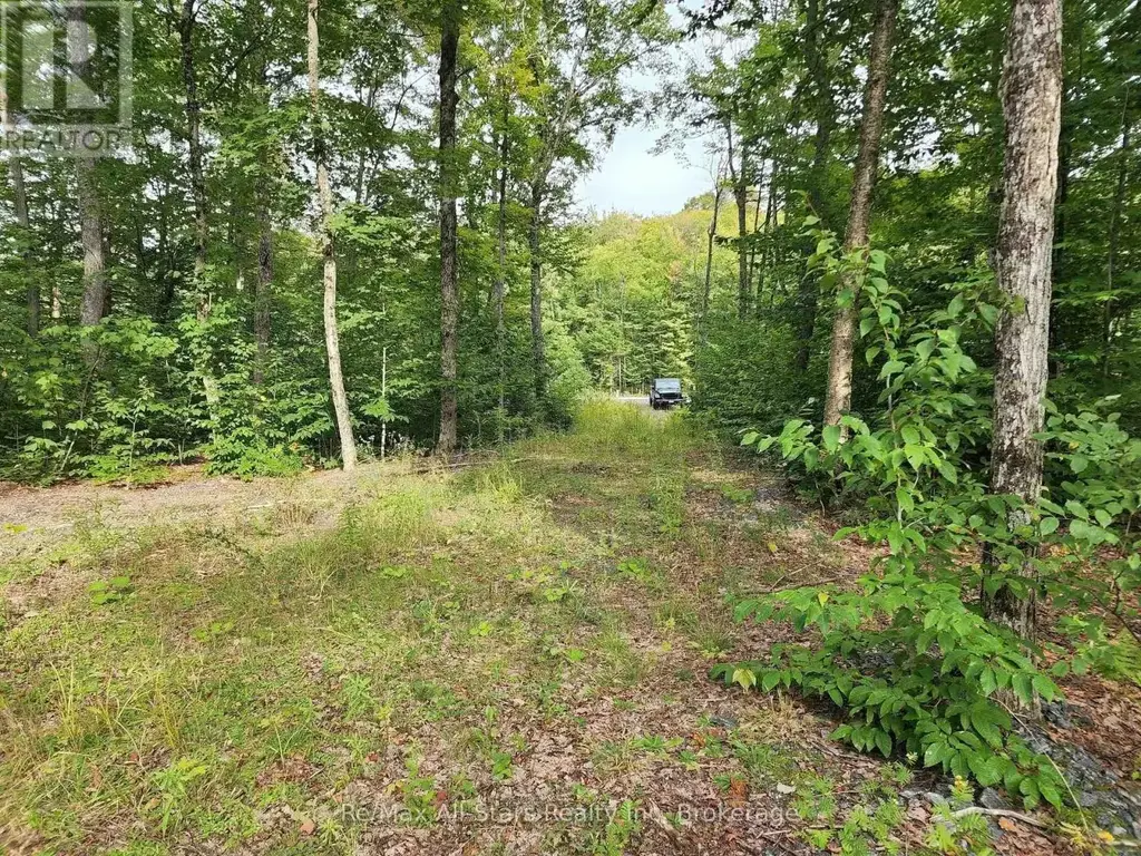 3480 Brunel Road, Lake of Bays (Mclean)