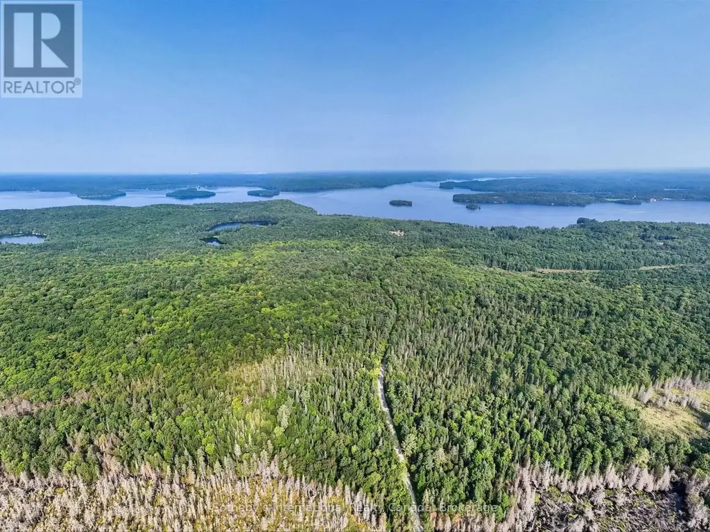 1045 C Browns Brae Road, Lake of Bays (Ridout)