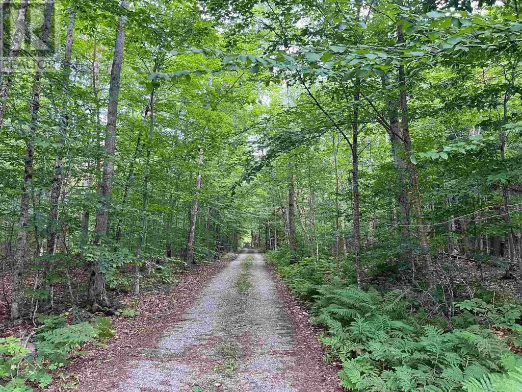Lot 15 Gordon Rd, St. Joseph Island
