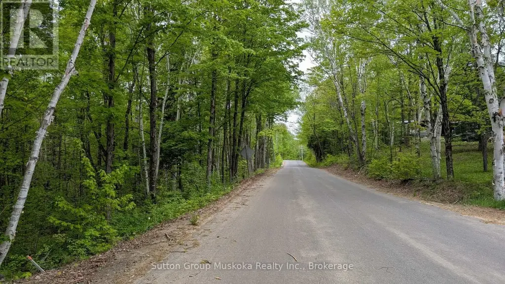 Lot 1 Tally-ho Winter Park Road, Lake of Bays (Sinclair)
