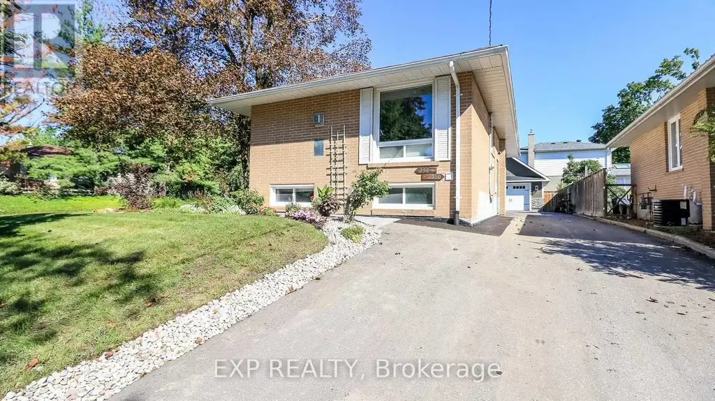 Basement - 258 Napier Street, Barrie (Codrington)