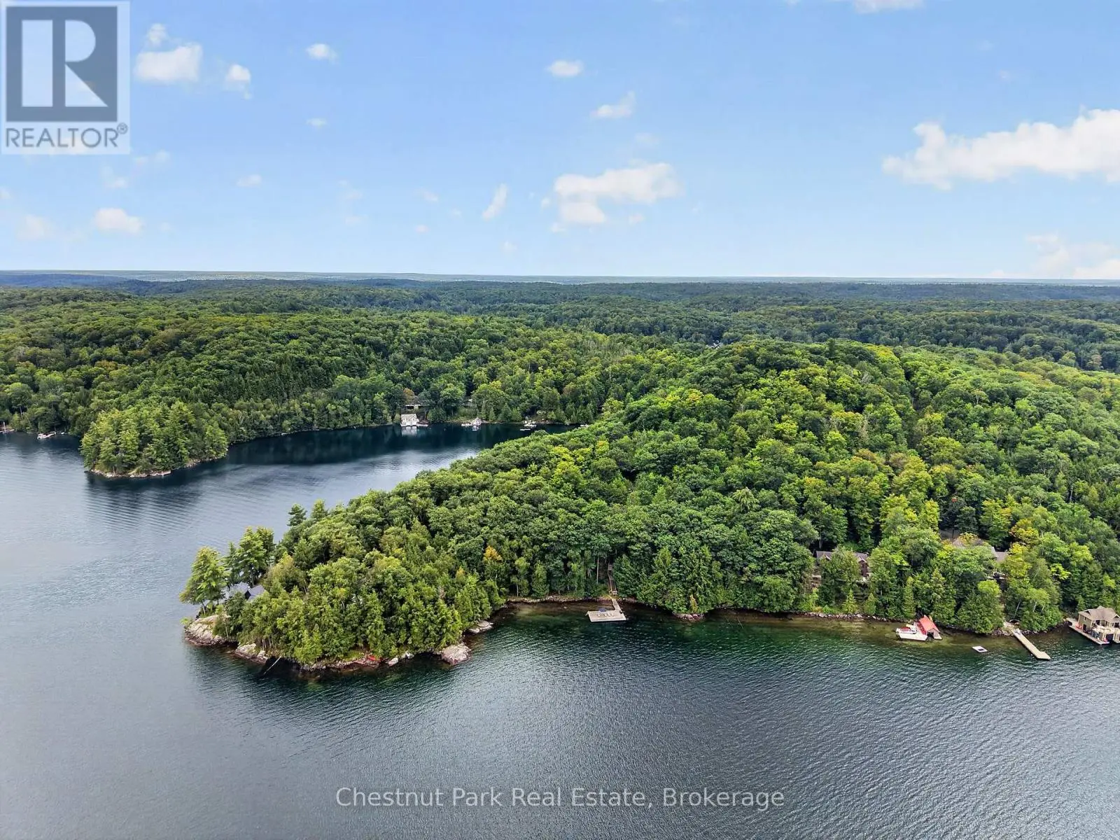 1119 - 28 Skeleton Lake 2 Rd Road, Muskoka Lakes (Watt)