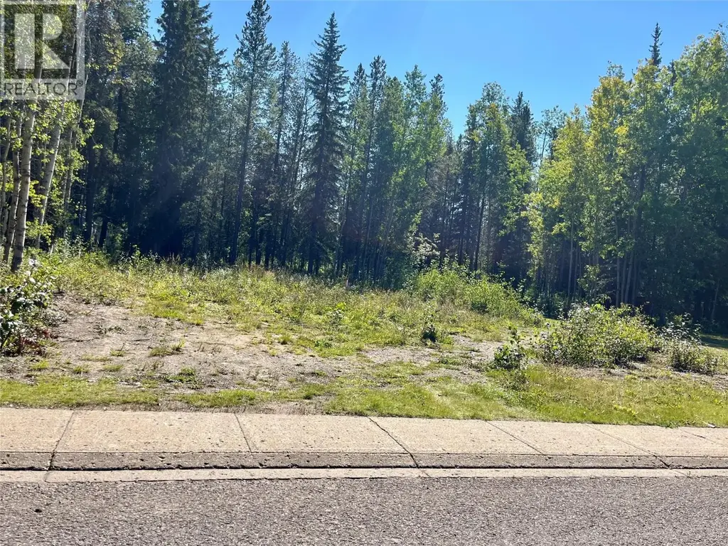 115 Red Willow Avenue, Tumbler Ridge