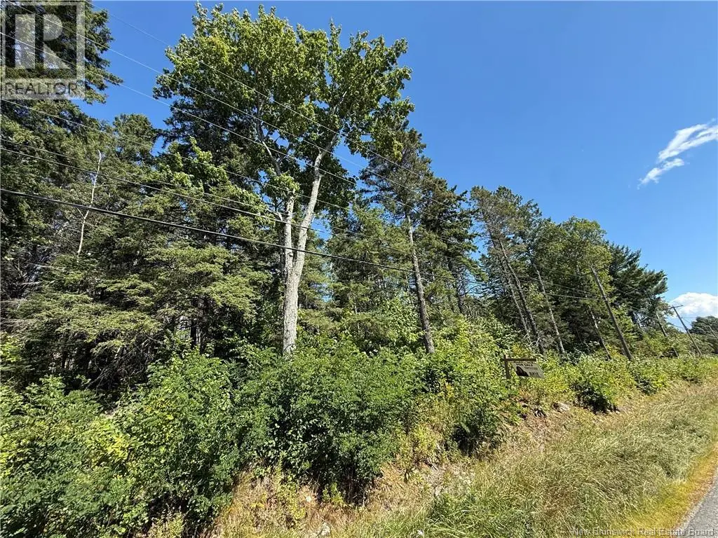 Photo of Listing #NB147425