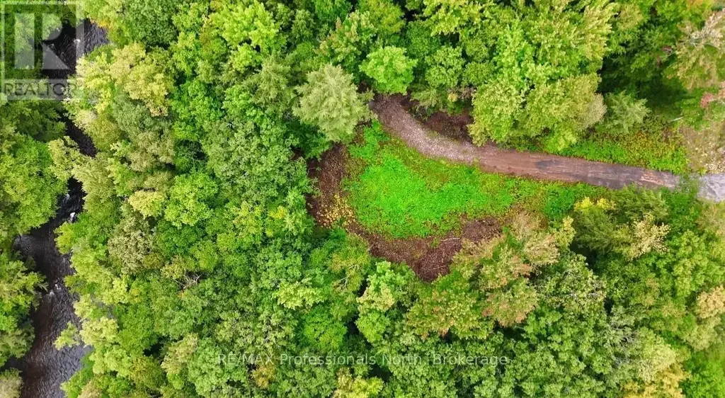 1247 Hawk Valley Road, Algonquin Highlands (Stanhope)