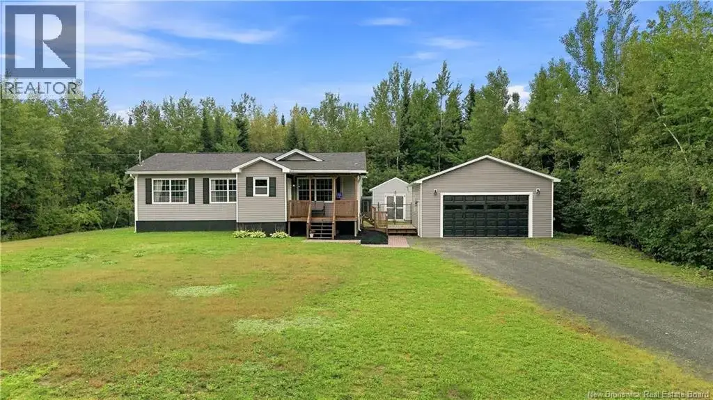 16 Ruth Lane, Rusagonis