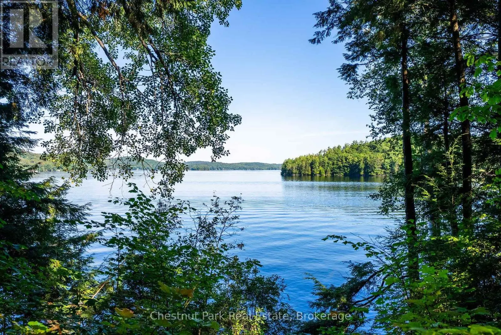 4339 Muskoka Road 117 Road, Lake of Bays (Franklin)