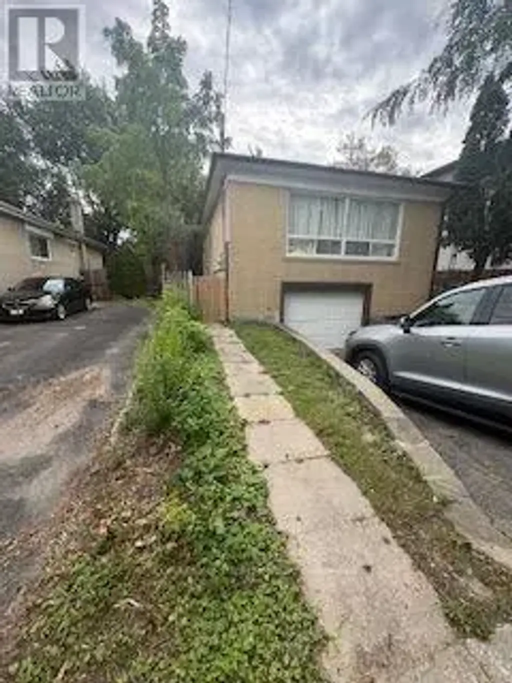 Lower - 55 Bishop Avenue, Toronto (Newtonbrook East)