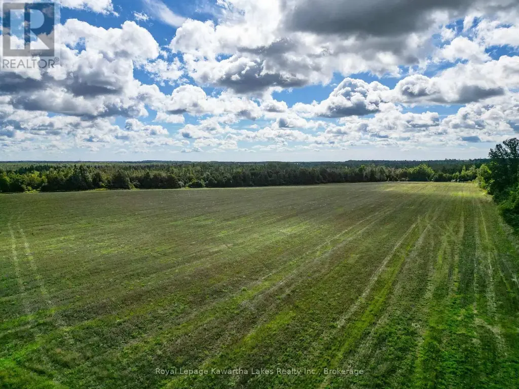 0 Demoe Road, Kawartha Lakes (Fenelon)