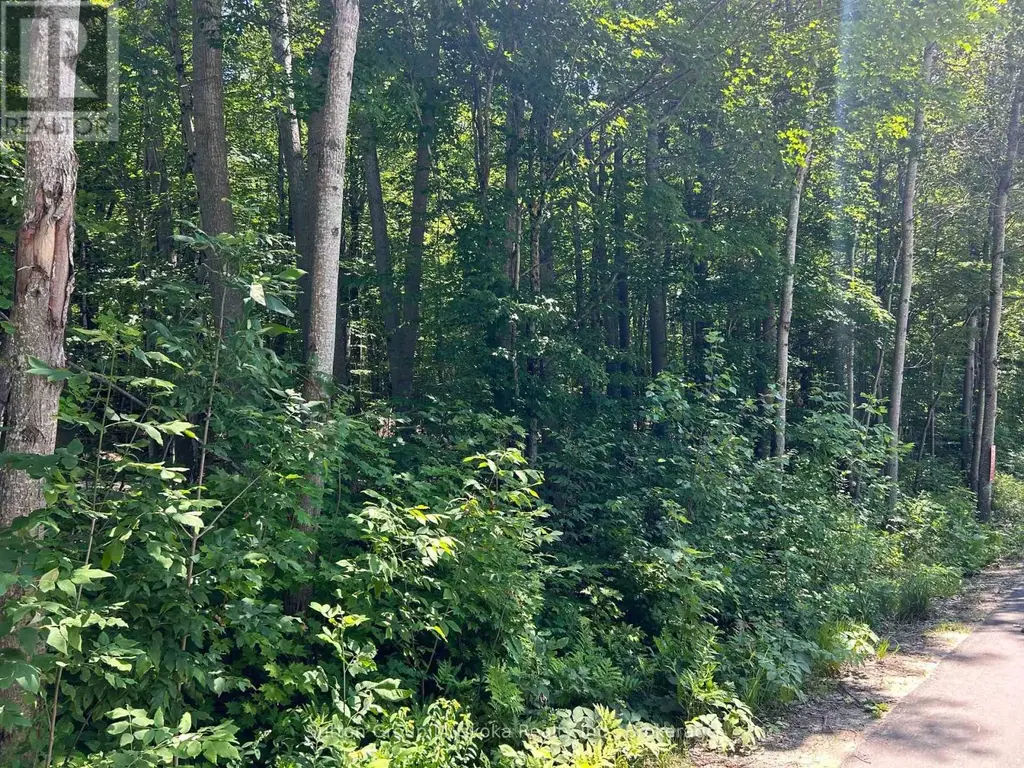 0 Tally Ho Winter Park Road, Lake of Bays (Sinclair)