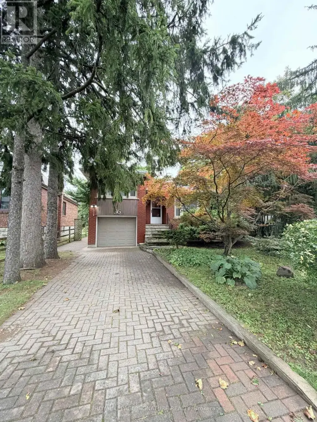 Main - 36 Royalavon Crescent, Toronto (Islington-City Centre West)