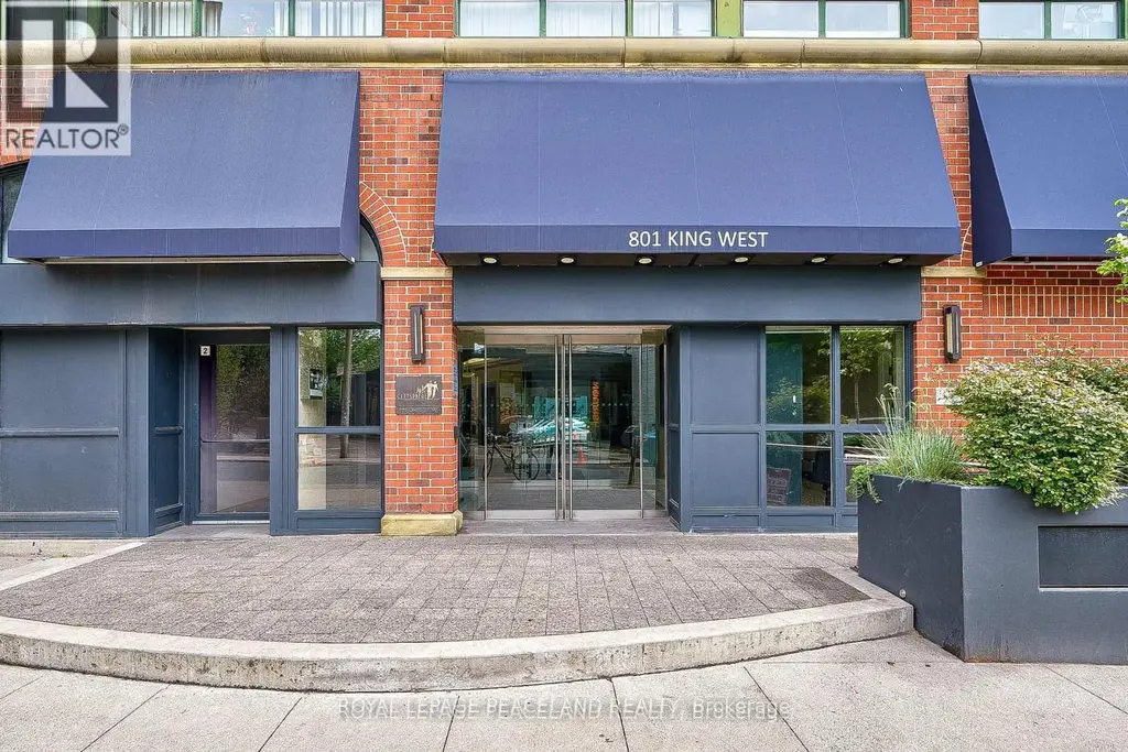 203 - 801 King Street W, Toronto (Niagara)