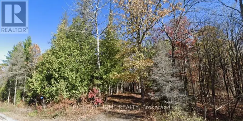 93 Mccleary Road, Marmora and Lake (Marmora Ward)