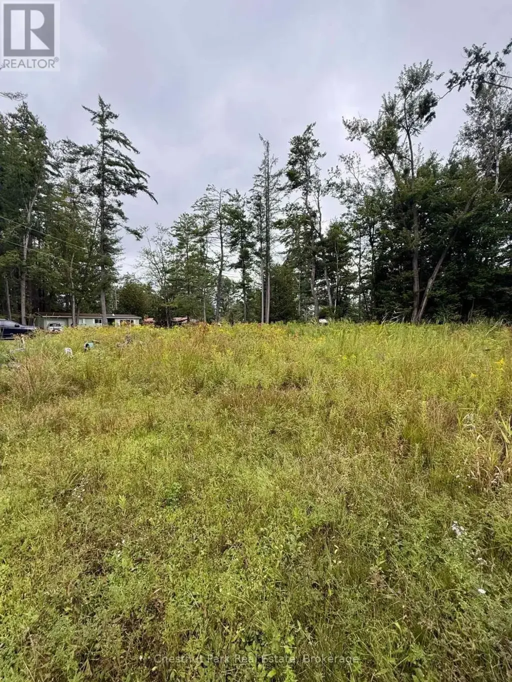 1004 Chippawa Avenue, Gravenhurst (Muskoka (S))