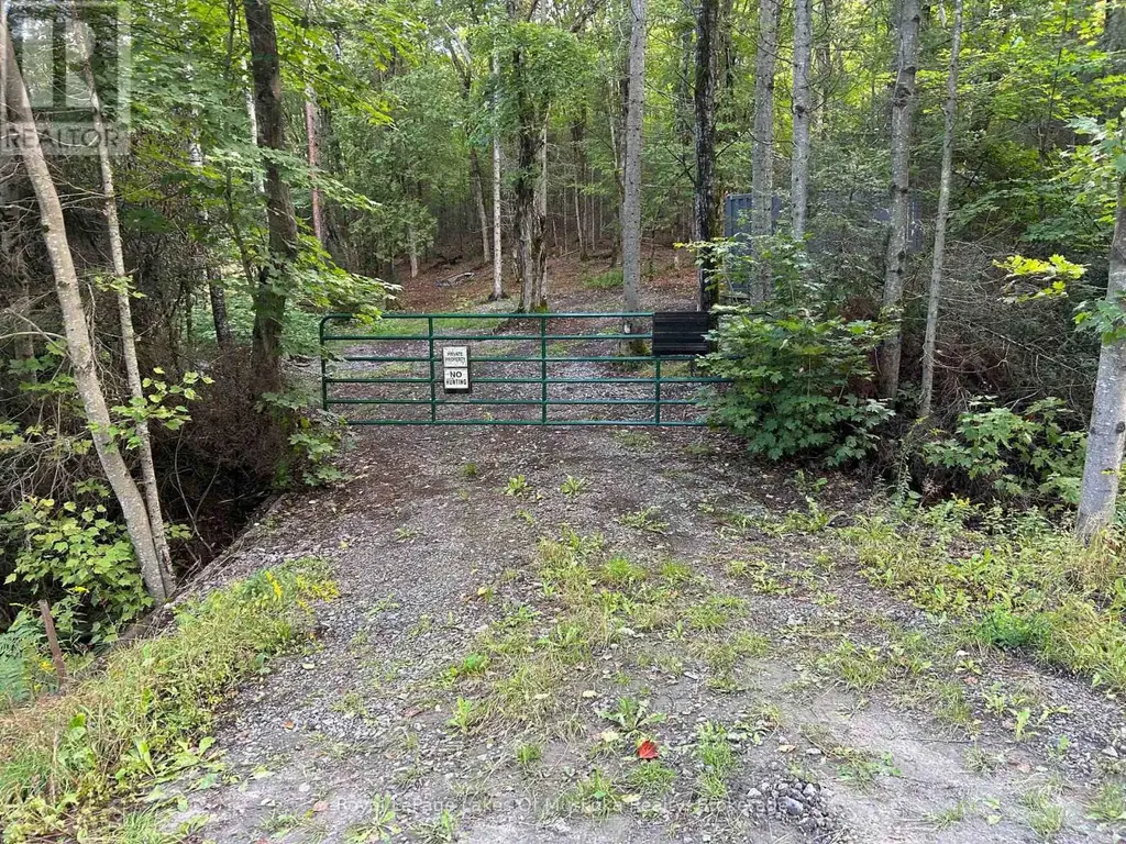 - Boundary Road, Parry Sound Remote Area (Lount)