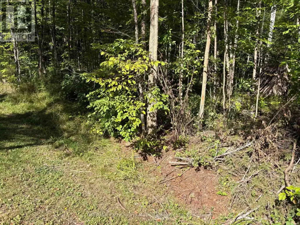 0 Pine Road, Magnetawan