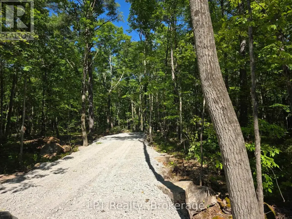 38 Marble Point Road, Marmora and Lake (Marmora Ward)