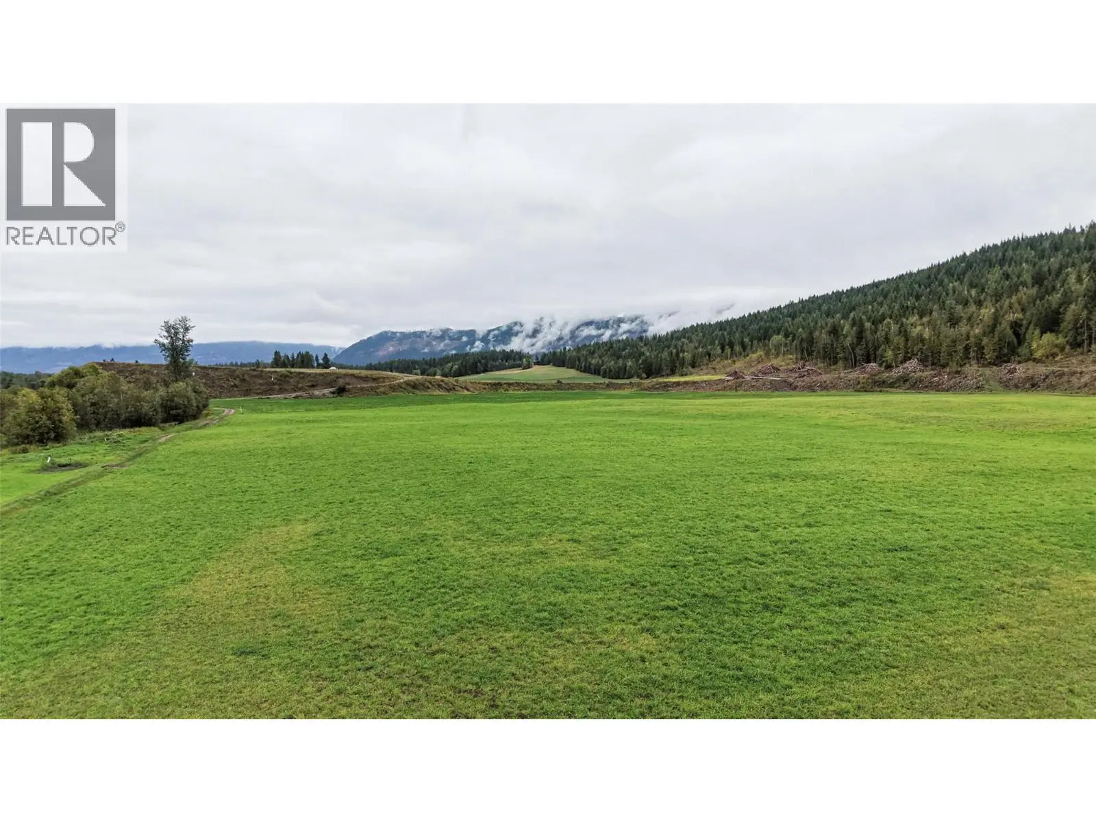 Photo of Listing #10401188