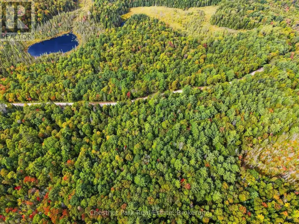 00 Paint Lake Road, Lake of Bays (Ridout)