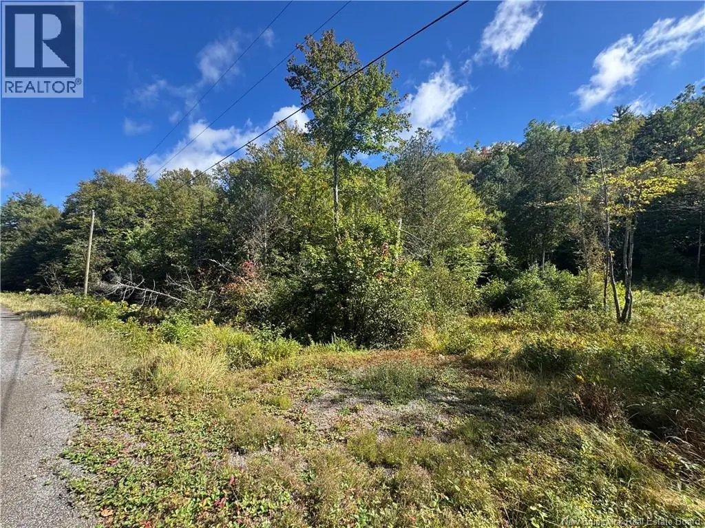 Photo of Listing #NB148278