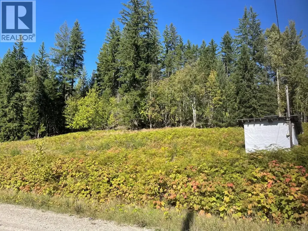 Lot 77 Bartley Road, Nakusp