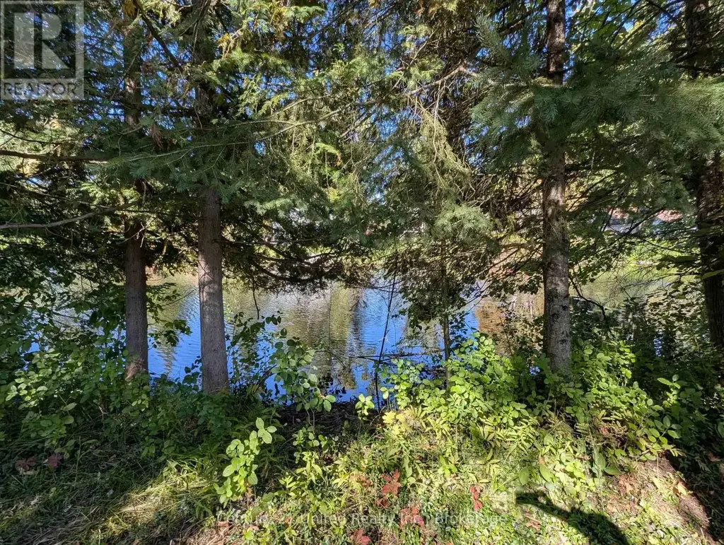63 Fire Route 104, Kawartha Lakes (Bobcaygeon)