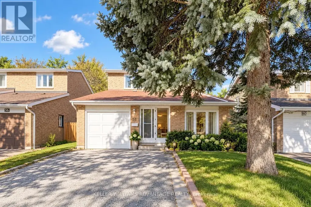58 Ambercroft Boulevard, Toronto (Steeles)