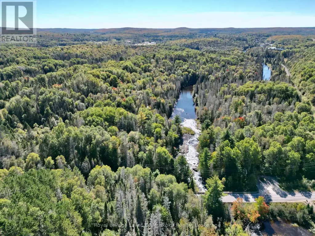 Pt Lt 7 Con 10 Pickerel & Jack Lake Road, Armour