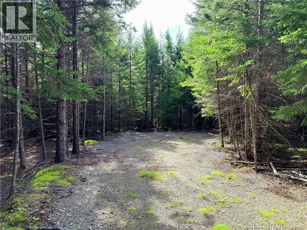 Photo of Listing #NB148424
