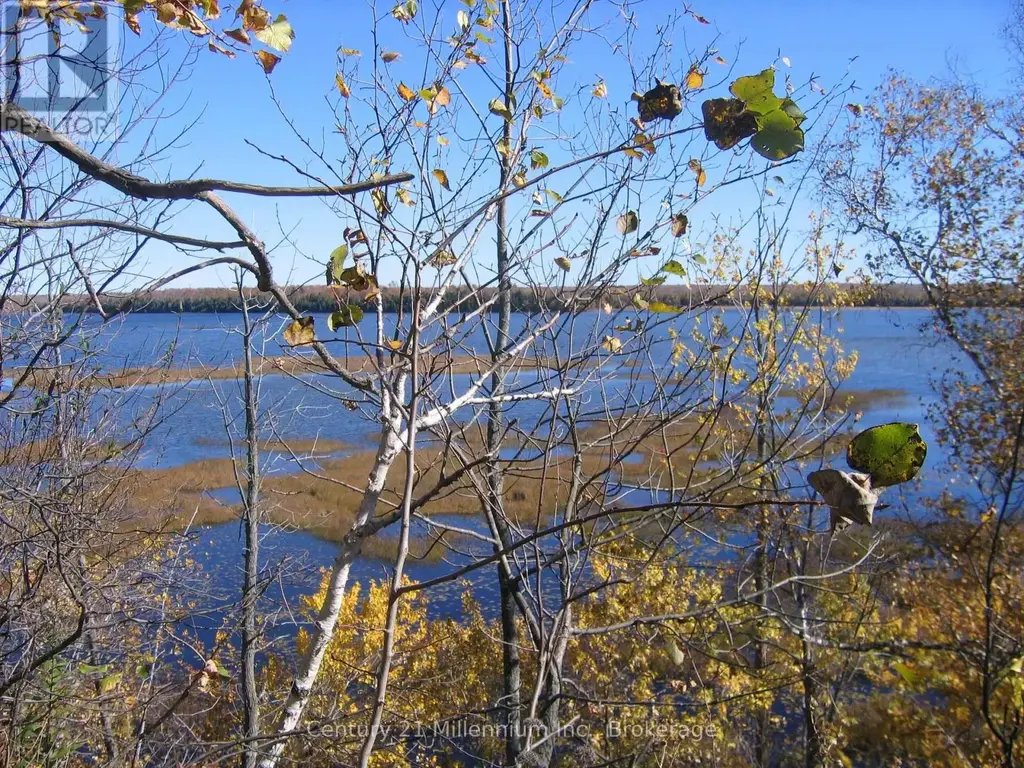0 Lt 26 Con 2 Wbr Albemarle Concession, South Bruce Peninsula