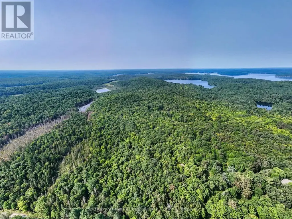 1045 B Browns Brae Road, Lake of Bays (Ridout)