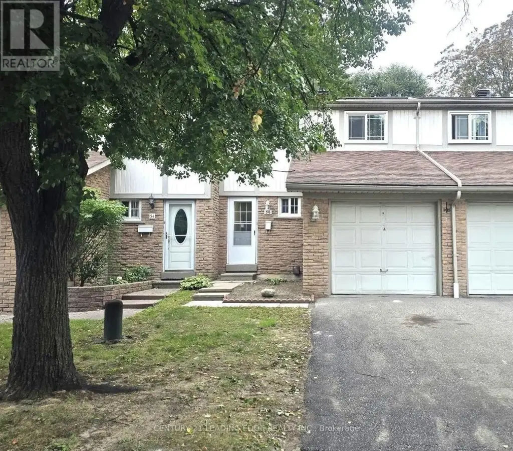 36 - 141 Galloway Road, Toronto (West Hill)