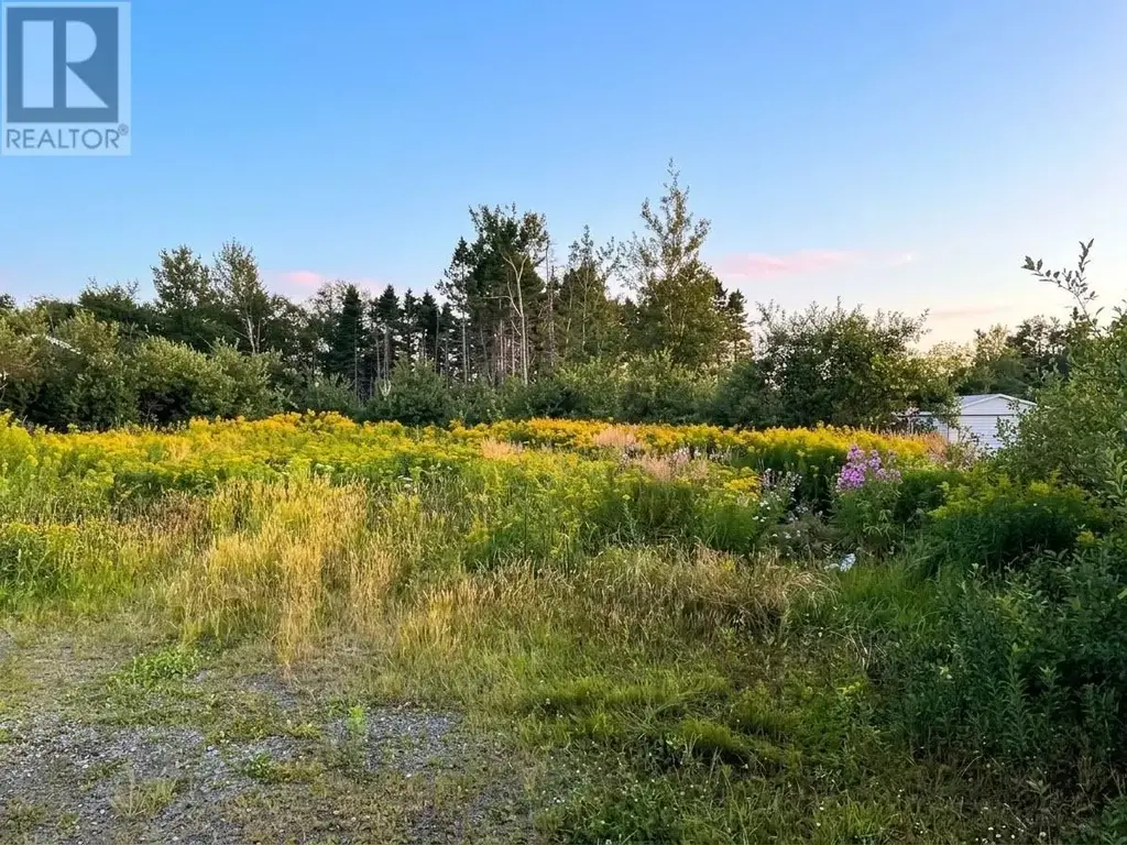 41 Mccurdy Drive, Gander
