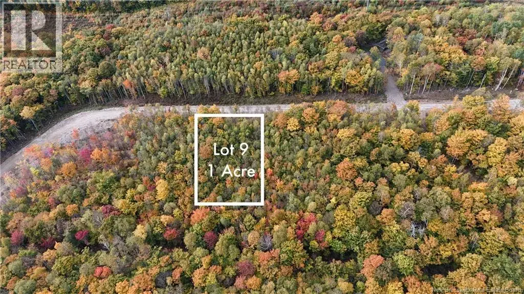 Lot 9 Raven Ridge Road, Central Hainesville